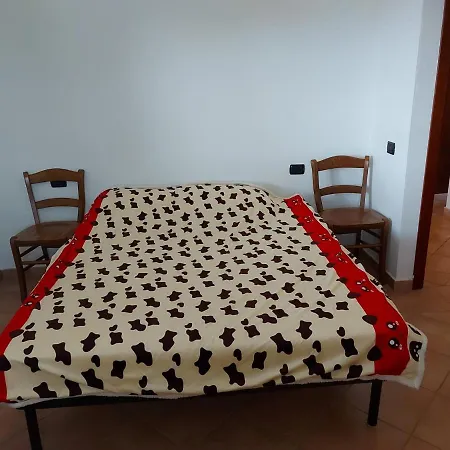 Nyaraló Alex