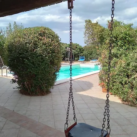 Nyaraló Alex *