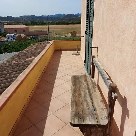 Nyaraló Alex *