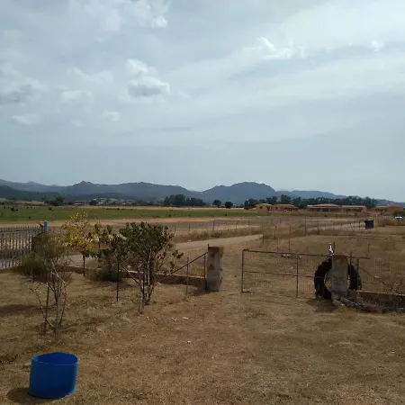 Nyaraló Alex *